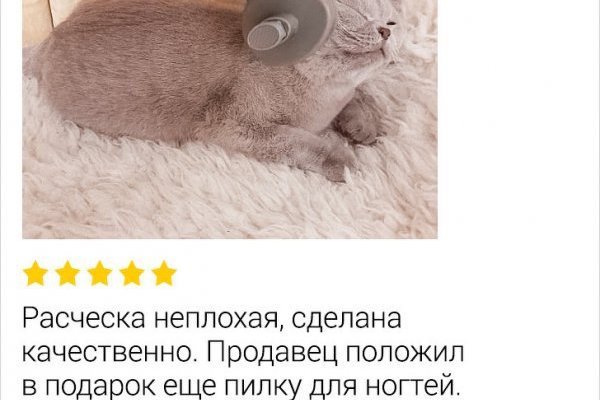 Кракен актуальная ссылка на сегодня