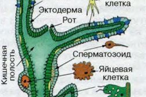 Кракен дарк оригинал ссылка