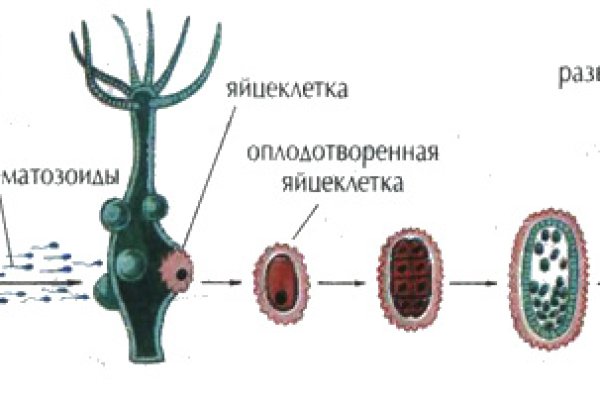 Kraken магазин