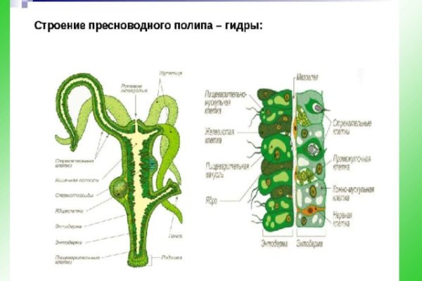 Kra37.at