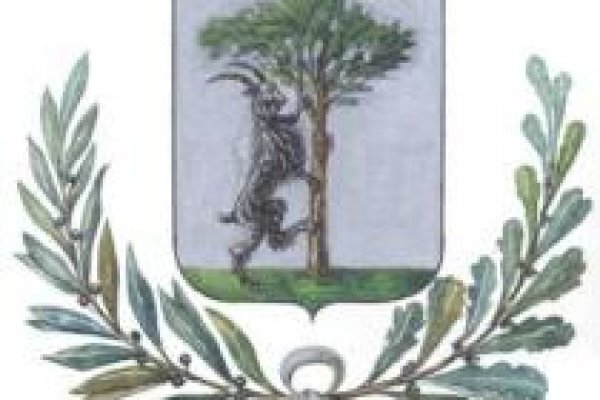 Кракен маркет даркнет скачать