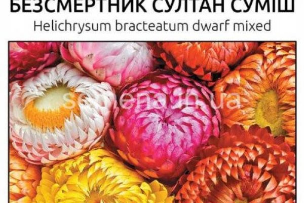 Рабочее зеркало кракен