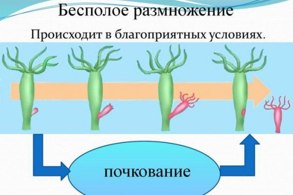Кракен купить гашиш