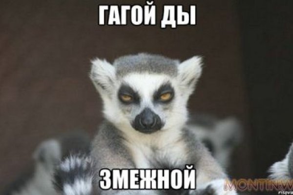 Ссылка на кракен через тор