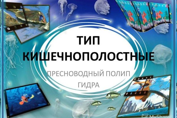 Как зайти в кракен торе